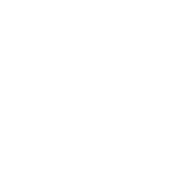 Pixelnation Project: Mammoth Media Logo