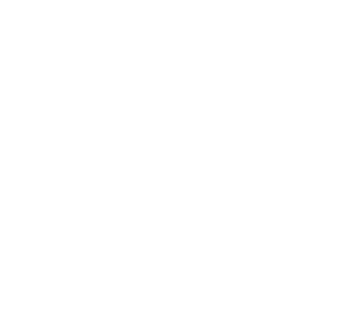 Pixelnation Project: Randys Flooring Logo